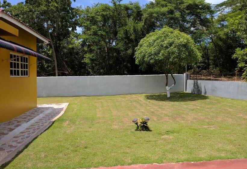 سوییت, Ultimate Freedom Bed And Breakfast