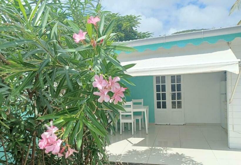 بانگلوی استاندارد, La Rose Du Bresil Marie Galante