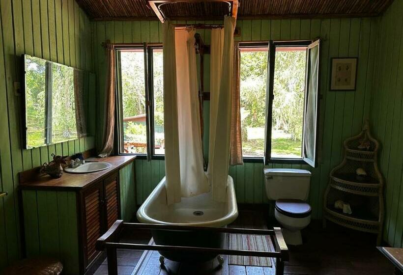 غرفة قياسية حمام مشترك, Veragua River House