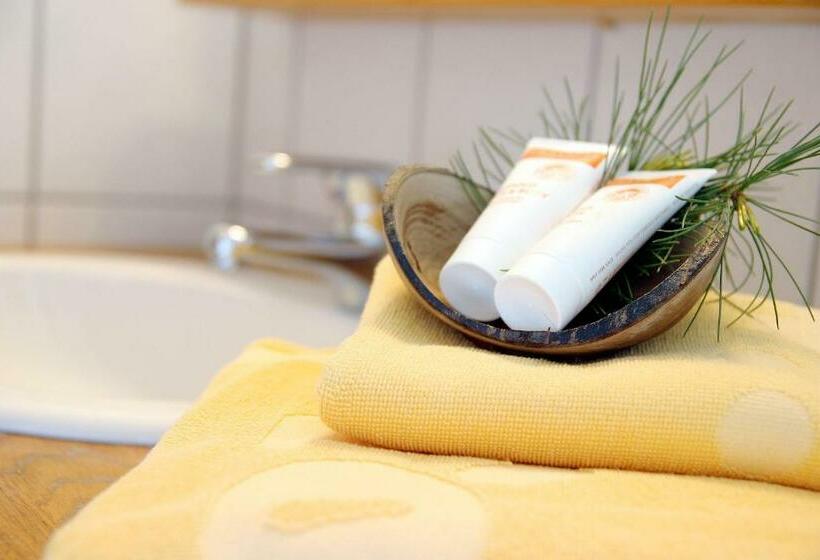 דירת שני חדרים, Almdorf Tonnerhütte