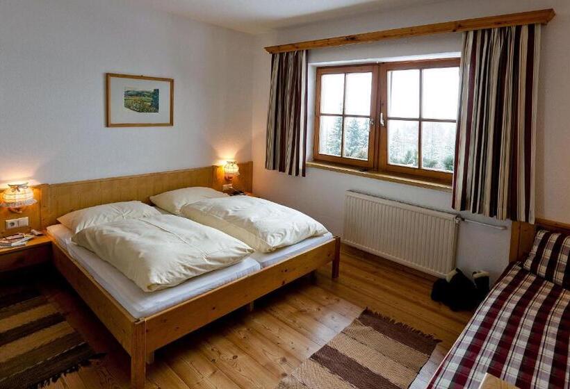 Апартаменты 1 Спальня, Almdorf Tonnerhütte