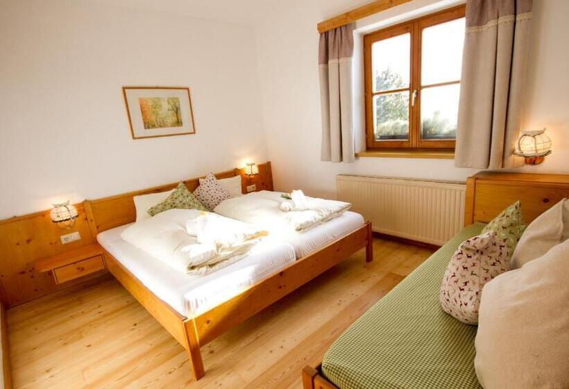 Апартаменты 1 Спальня, Almdorf Tonnerhütte