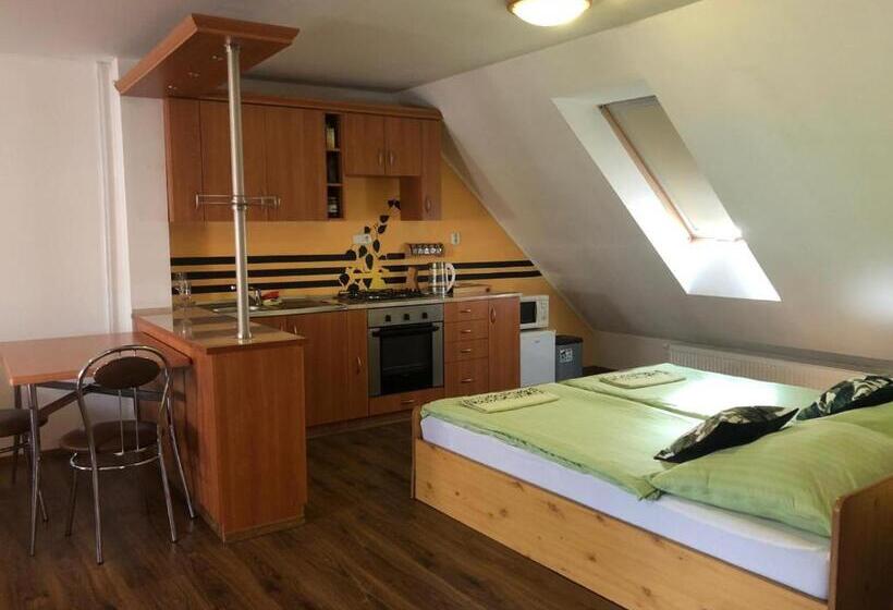 带1个卧室的公寓, Penzión Antiqua Villa