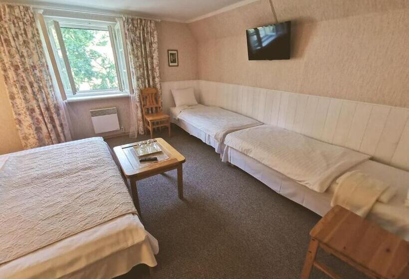 اتاق استاندارد, Viesu Māja Sprīdīši