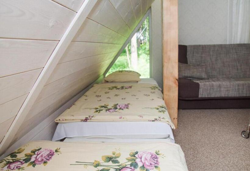 اتاق استاندارد, Viesu Māja Sprīdīši