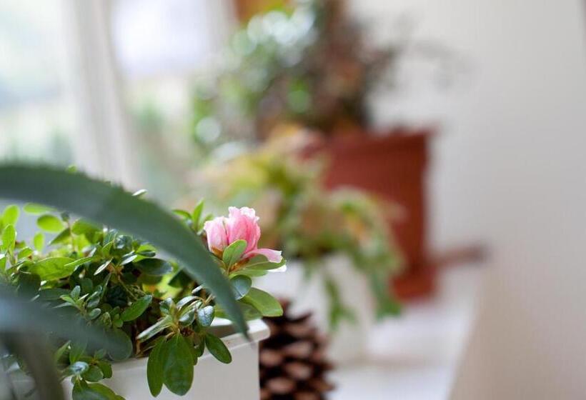 Номер Стандарт, Rodinný Penzion U Wolfů