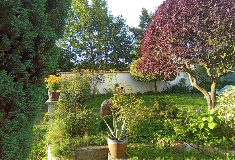 سوئیت 2 خوابه, Pension Baron Schoeneck