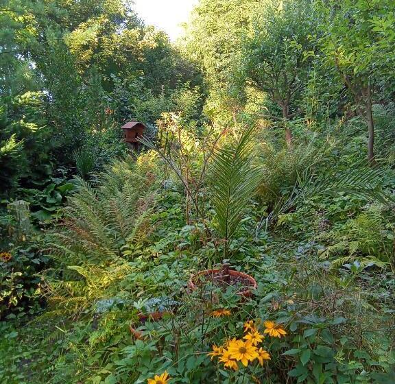 سوئیت 2 خوابه, Pension Baron Schoeneck