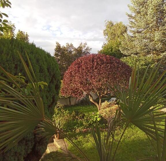 آپارتمان 2 خوابه, Pension Baron Schoeneck