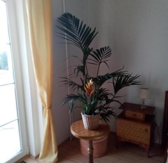 آپارتمان 2 خوابه, Pension Baron Schoeneck