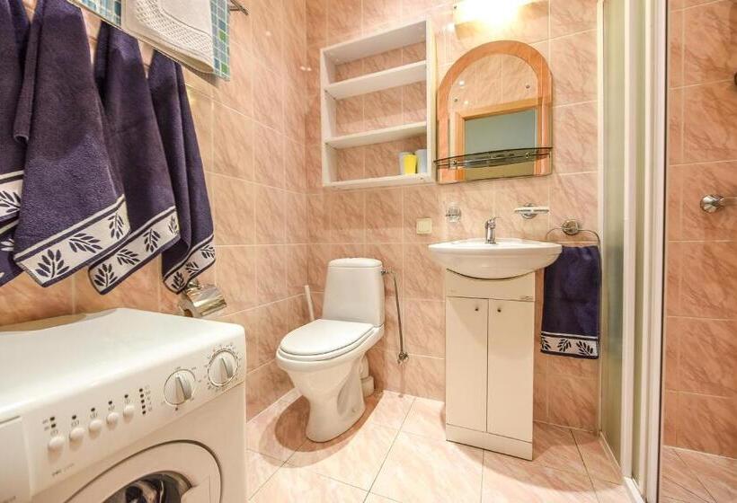 آپارتمان 2 خوابه با بالکن, Vanagas Apartments