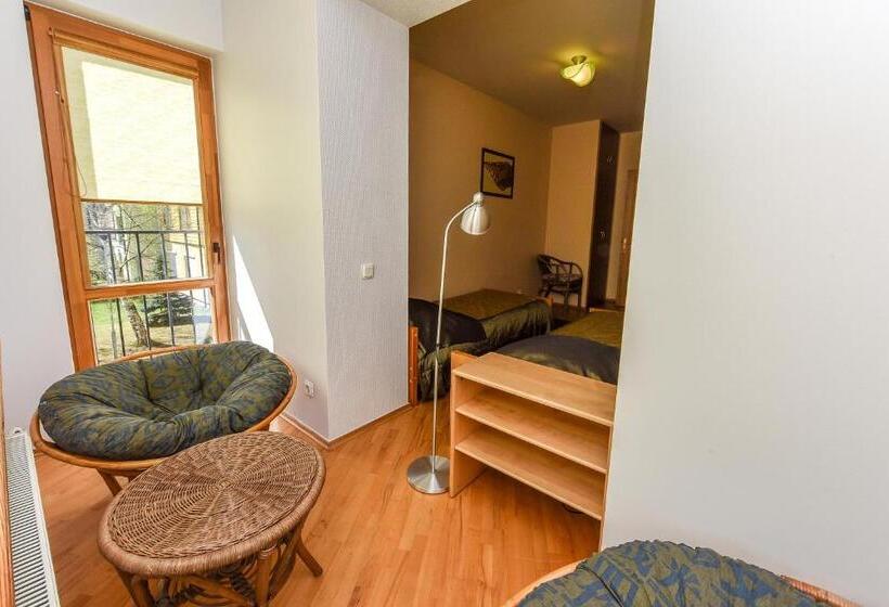 آپارتمان 2 خوابه با بالکن, Vanagas Apartments