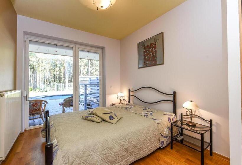 آپارتمان 2 خوابه با تراس, Vanagas Apartments