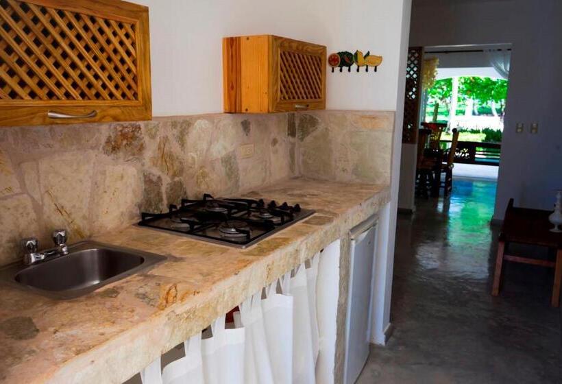 استودیوی استاندارد با چشمانداز دریا, Baoba Beach