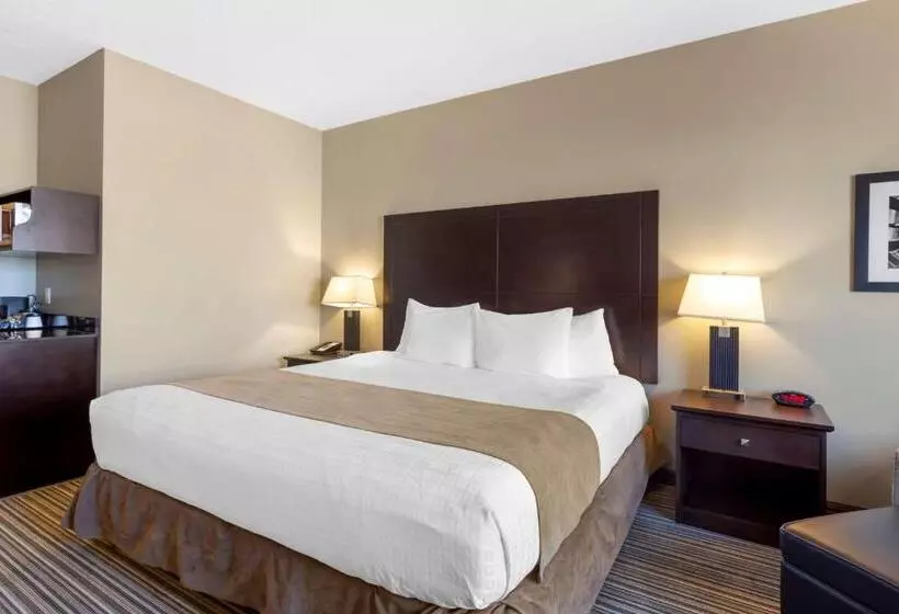 キングサイズベッドのスタンダードルーム, Best Western Plus Fort Saskatchewan Inn & Suites