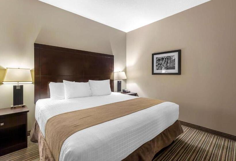 חדר סטנדרט עם מיטת קינג, Best Western Plus Fort Saskatchewan Inn & Suites