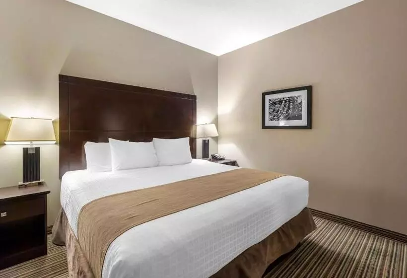 キングサイズベッドのスタンダードルーム, Best Western Plus Fort Saskatchewan Inn & Suites