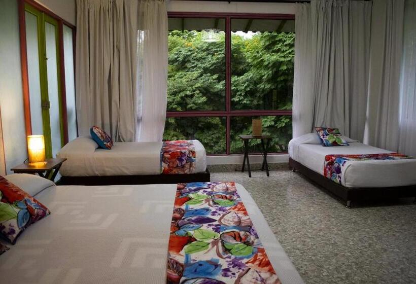 4인용 스탠다드 룸, Campestre La Tata