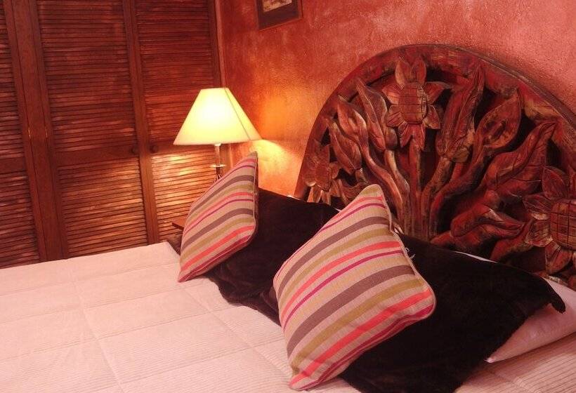 수피리어 싱글 룸, Casa De Las Conservas Bed And Breakfast