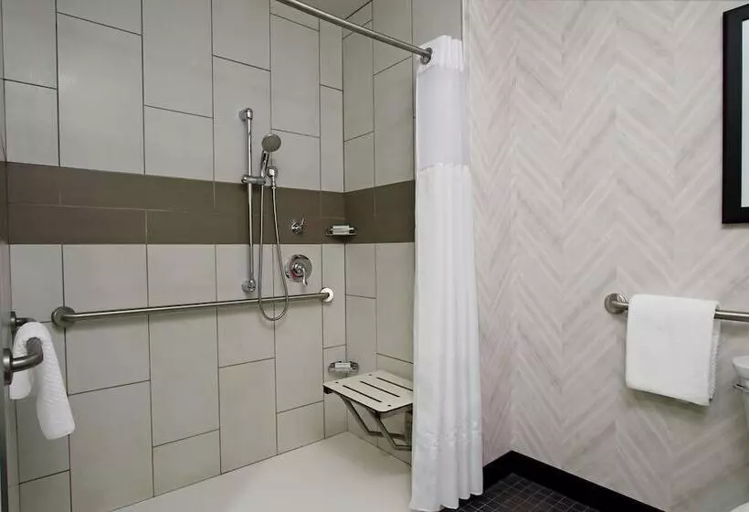 身障者適用スイートルーム, Embassy Suites By Hilton Pittsburgh Downtown