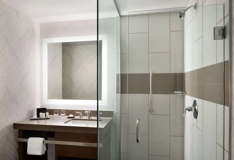 장애인을 위한 스위트, Embassy Suites By Hilton Pittsburgh Downtown