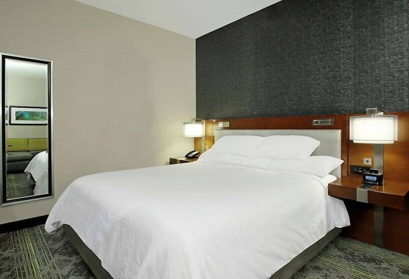 장애인을 위한 스위트, Embassy Suites By Hilton Pittsburgh Downtown