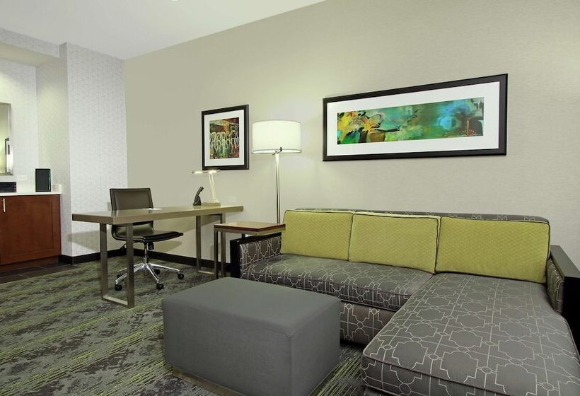 침실 2개 스위트, Embassy Suites By Hilton Pittsburgh Downtown