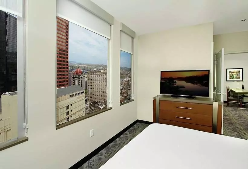 スイート, Embassy Suites By Hilton Pittsburgh Downtown