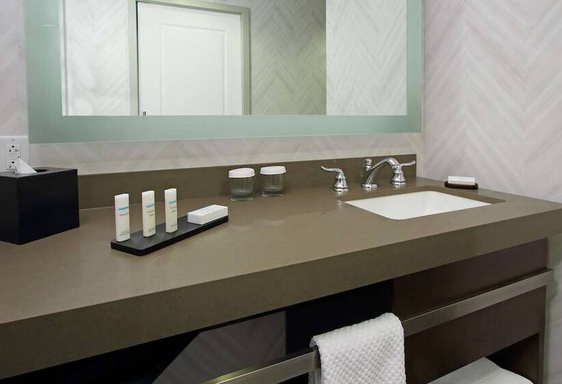 강 전망 스위트, Embassy Suites By Hilton Pittsburgh Downtown