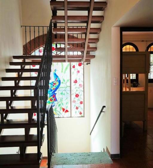 Номер Стандарт, Hostal De Las Américas