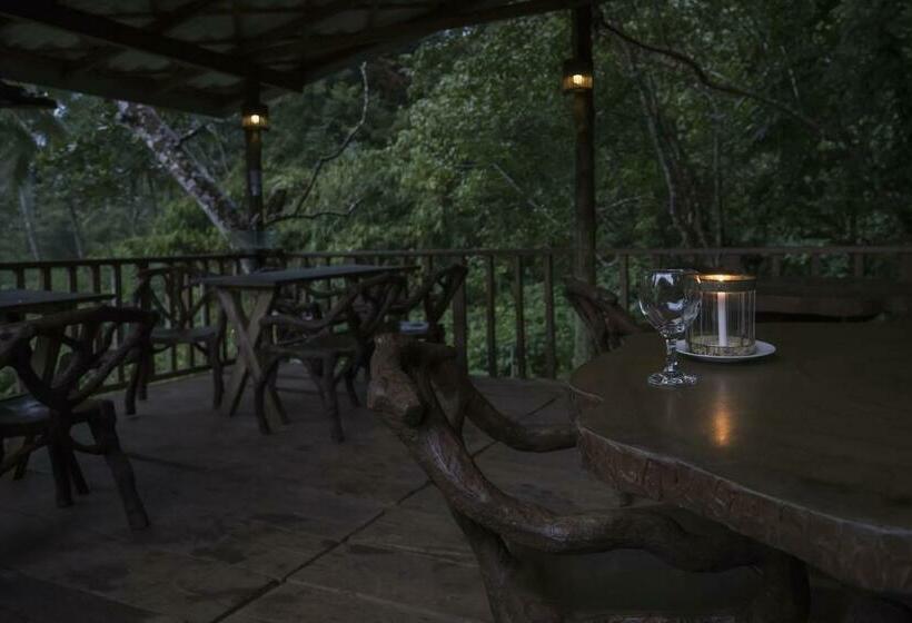 デラックスルーム, Sinharaja Forest Edge