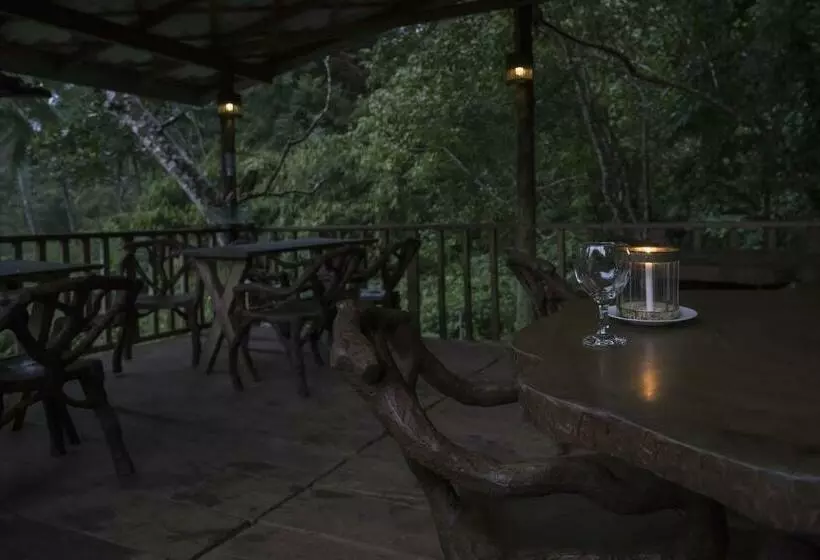 デラックスルーム, Sinharaja Forest Edge
