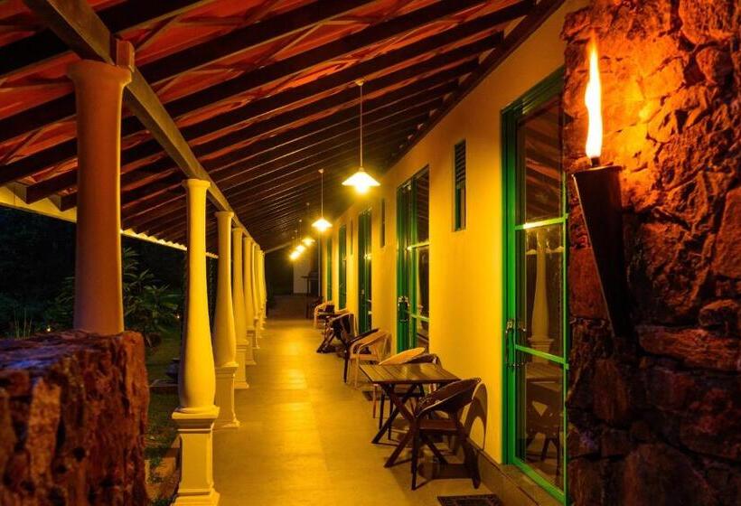 デラックスルーム, Sinharaja Forest Edge