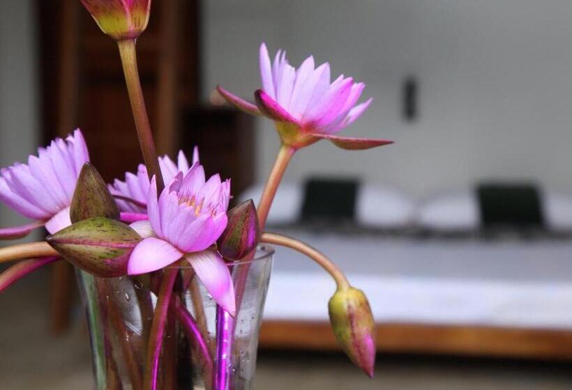 スタンダードトリプルルーム, Sinharaja Forest Edge