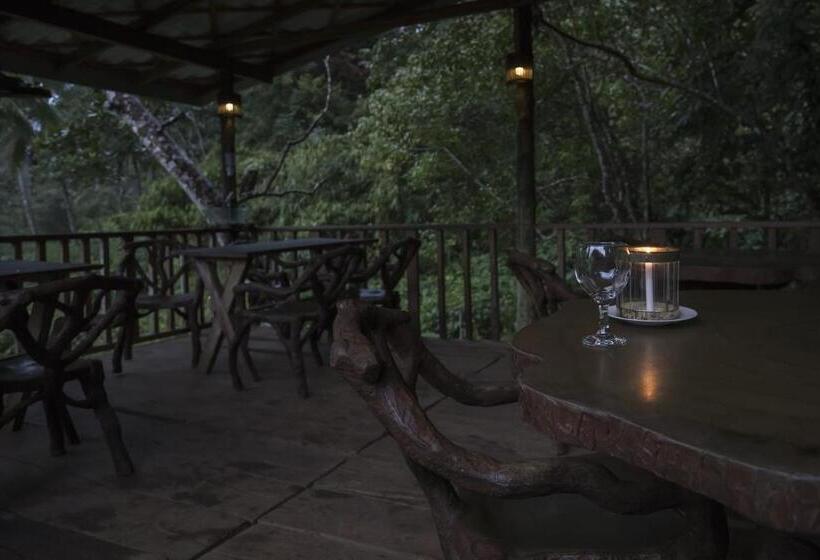 スタンダードルーム, Sinharaja Forest Edge