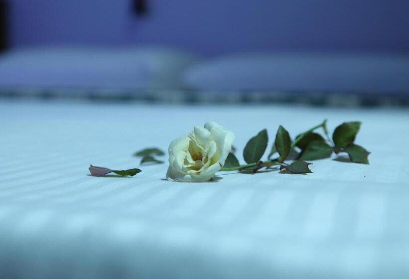 デラックスルーム, Sinharaja Forest Edge