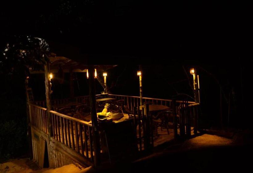 スタンダードトリプルルーム, Sinharaja Forest Edge