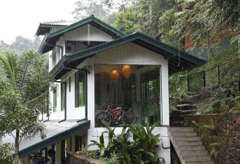 スタンダードルーム, Sinharaja Forest Edge