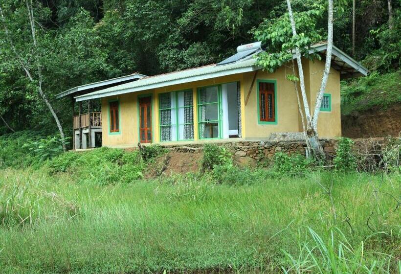 スタンダードルーム, Sinharaja Forest Edge