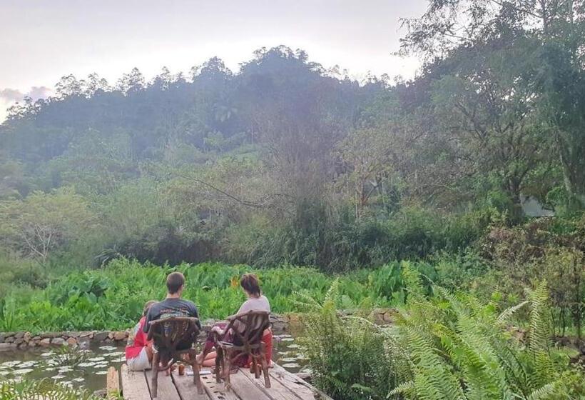 スタンダードルーム, Sinharaja Forest Edge