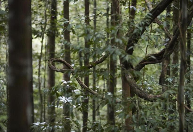 ２ベッドルームスーペリアスイート, Sinharaja Forest Edge