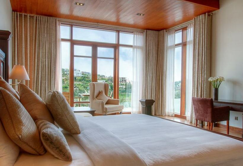 마스터 스위트, Tea Plant Nuwara Eliya