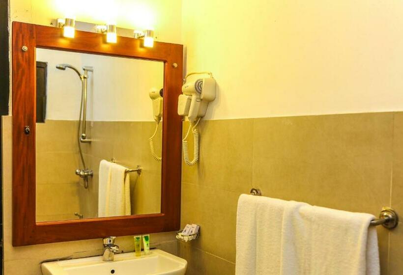 חדר סטנדרט, Oak Ray City