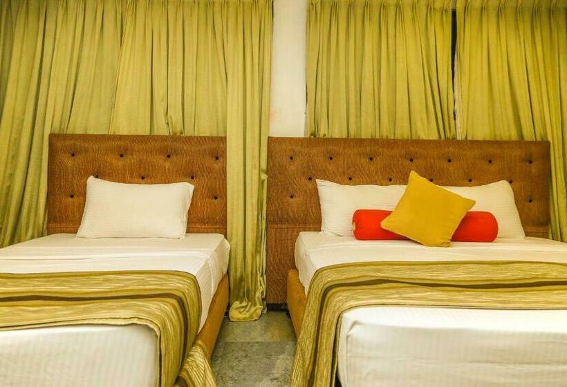 Quarto Estandar, Oak Ray City