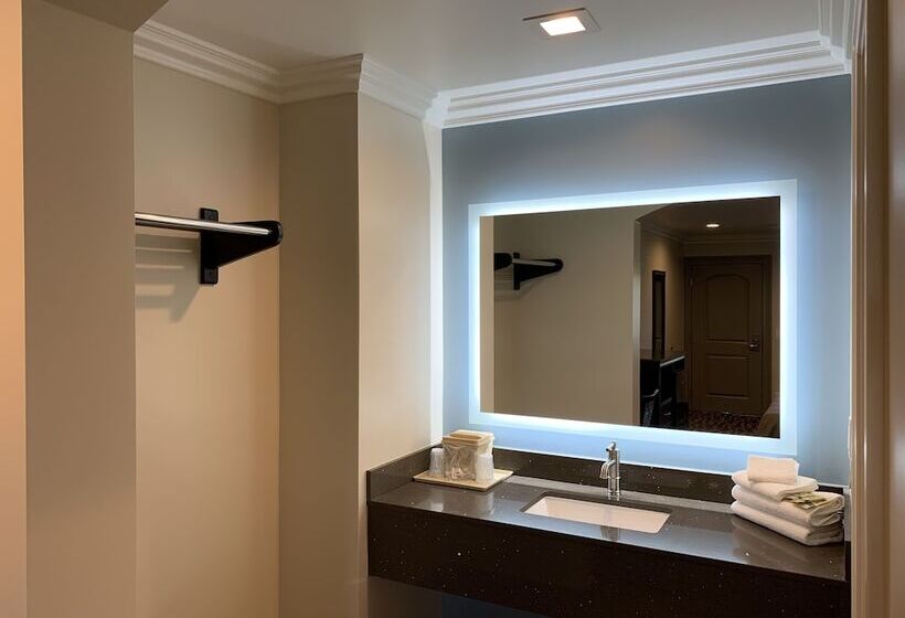 豪华房间, Industry Inn & Suites