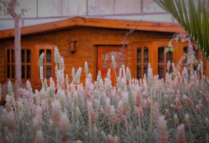 بنجلو عائلى, Don Pepe Hotel Y Cabañas