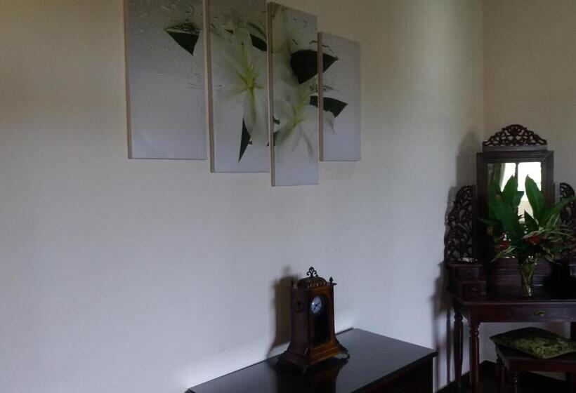 디럭스 룸, Asian Jewel Boutique