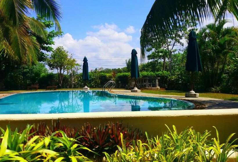 패밀리 스위트, Asian Jewel Boutique