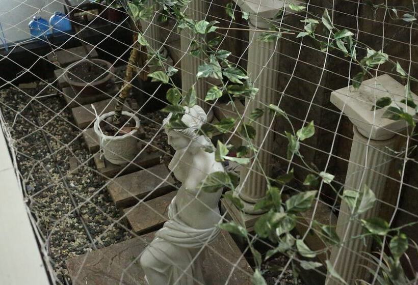 اتاق سوپریور, Ngoc Tung