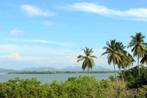 Полулюкс, Thaulle Ayurveda Resort   Yala